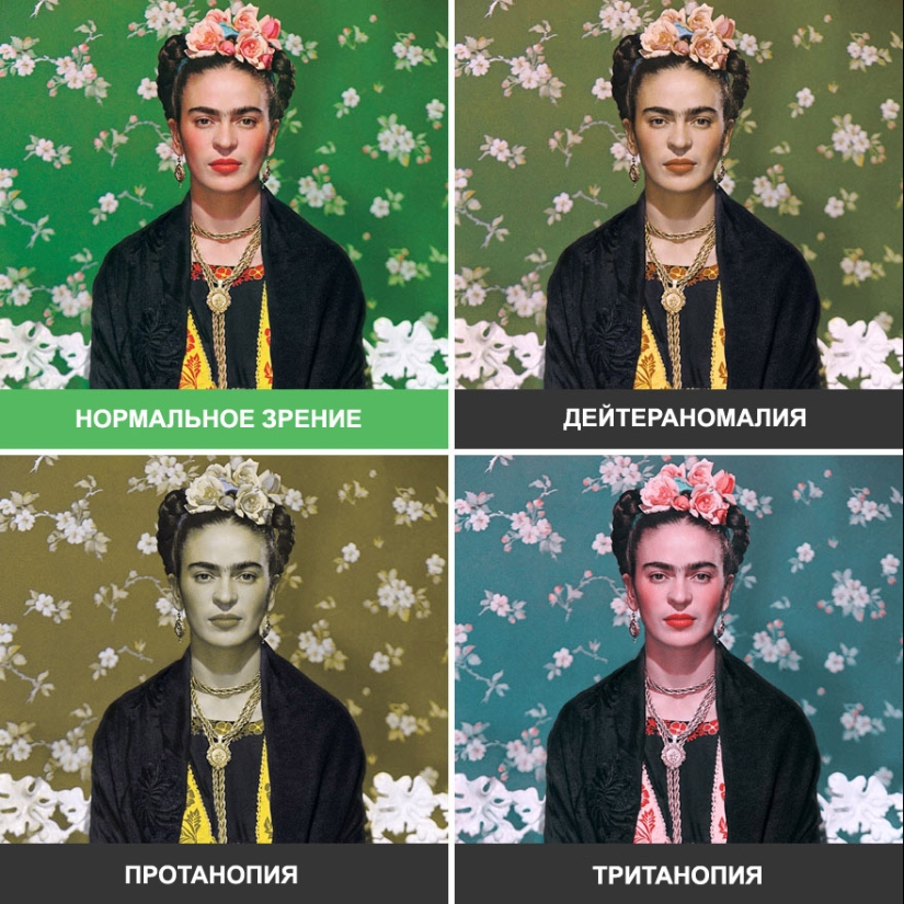 Como se ve el mundo a través de los ojos de los ciegos al color Como se ve el mundo a través de los ojos de los ciegos al color