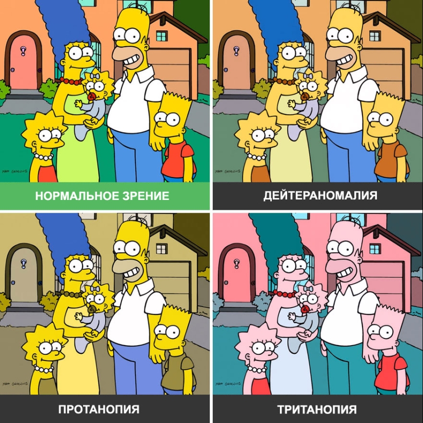 Como se ve el mundo a través de los ojos de los ciegos al color Como se ve el mundo a través de los ojos de los ciegos al color