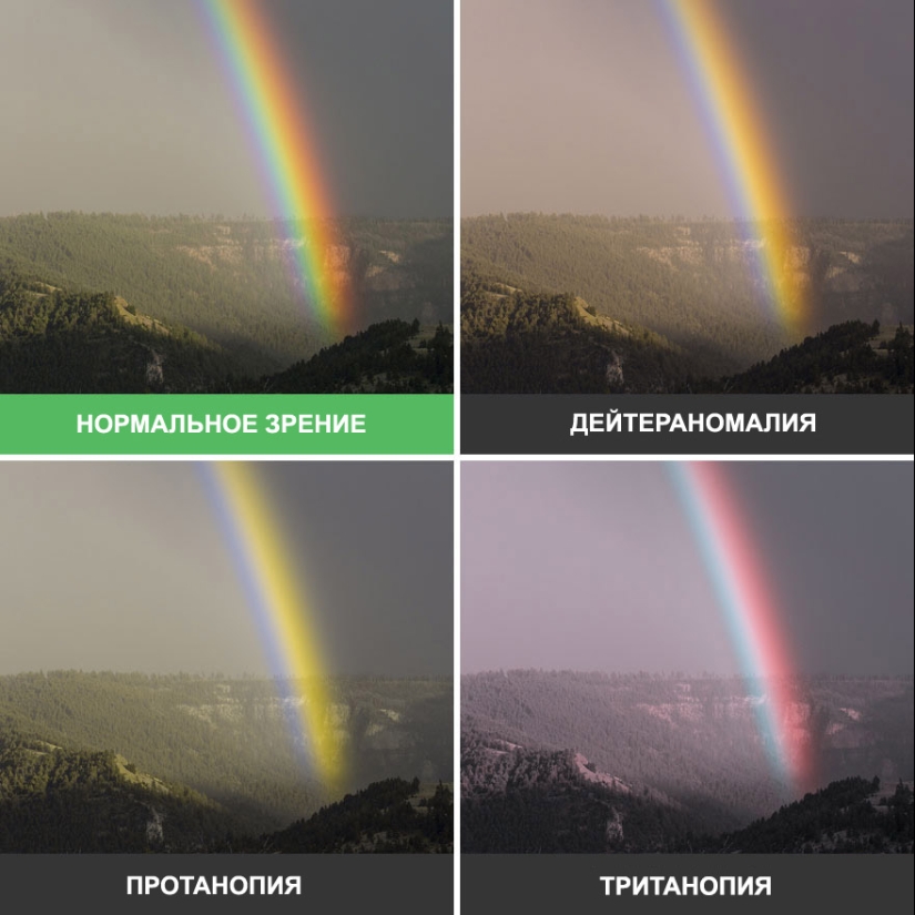 Como se ve el mundo a través de los ojos de los ciegos al color Como se ve el mundo a través de los ojos de los ciegos al color