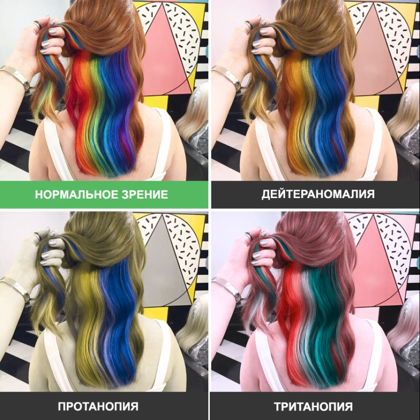 Como se ve el mundo a través de los ojos de los ciegos al color Como se ve el mundo a través de los ojos de los ciegos al color