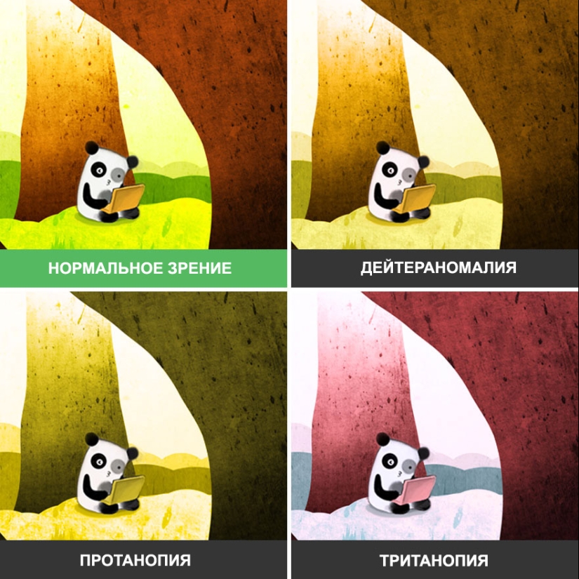 Como se ve el mundo a través de los ojos de los ciegos al color Como se ve el mundo a través de los ojos de los ciegos al color