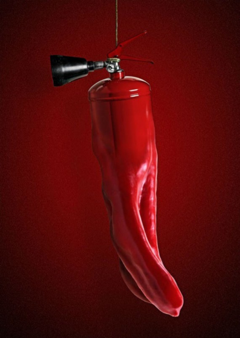 Contra el sentido común