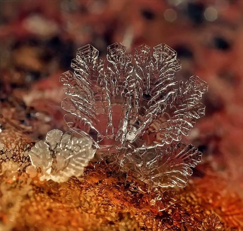 Copos de nieve del fotógrafo Andrey Osokin