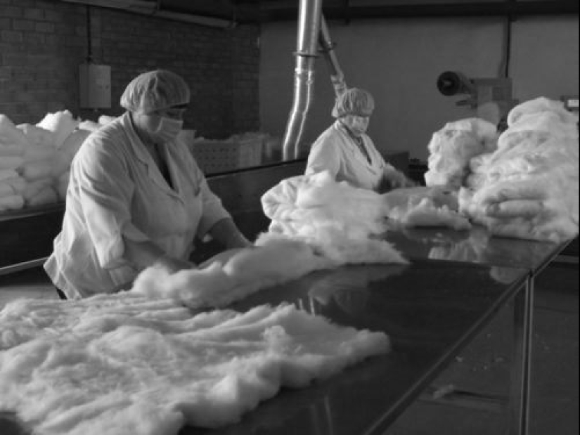 Cotton wool, solarium, tea bags and 12 more inventions that appeared thanks to the First World War