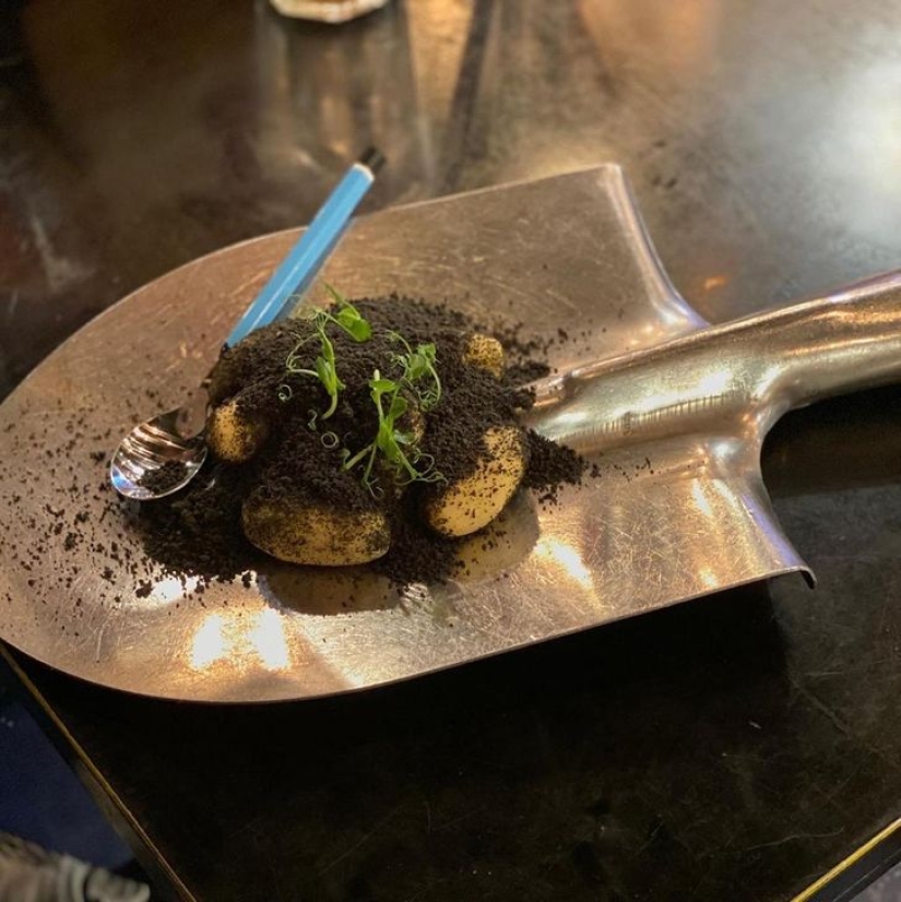 Croutons on a shovel: 22 examples of a very strange serving of dishes Croutons on a shovel: 22 examples of a very strange serving of dishes