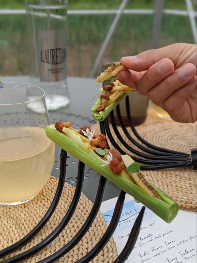 Croutons on a shovel: 22 examples of a very strange serving of dishes Croutons on a shovel: 22 examples of a very strange serving of dishes
