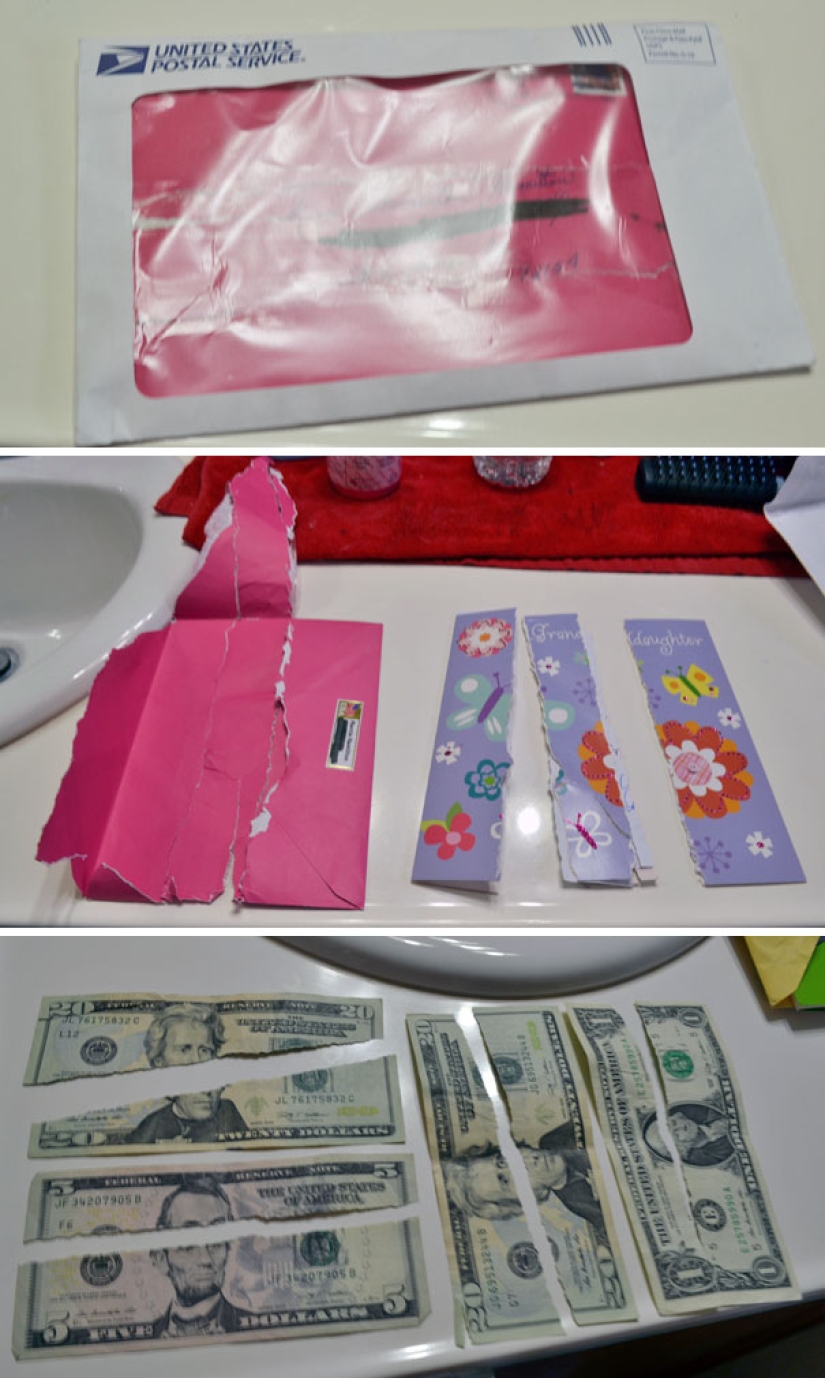 Cuando el cartero no es Pechkin: Errores épicos del servicio de entrega