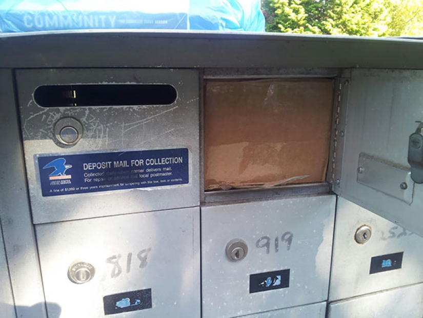 Cuando el cartero no es Pechkin: Errores épicos del servicio de entrega