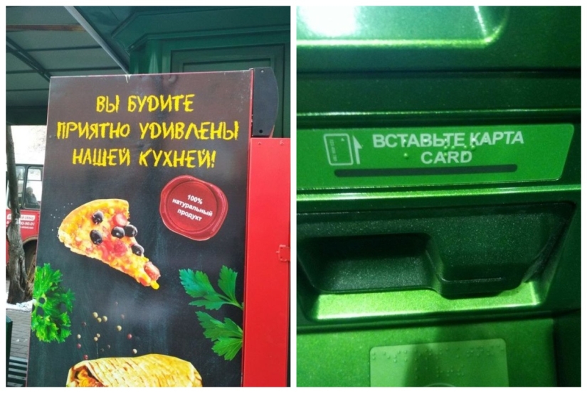 Cuando la generación del EGO encontró un trabajo: 22 ashipki que solo enfurecen