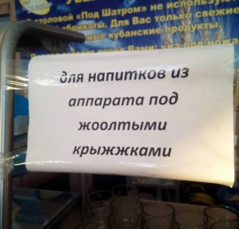 Cuando la generación del EGO encontró un trabajo: 22 ashipki que solo enfurecen