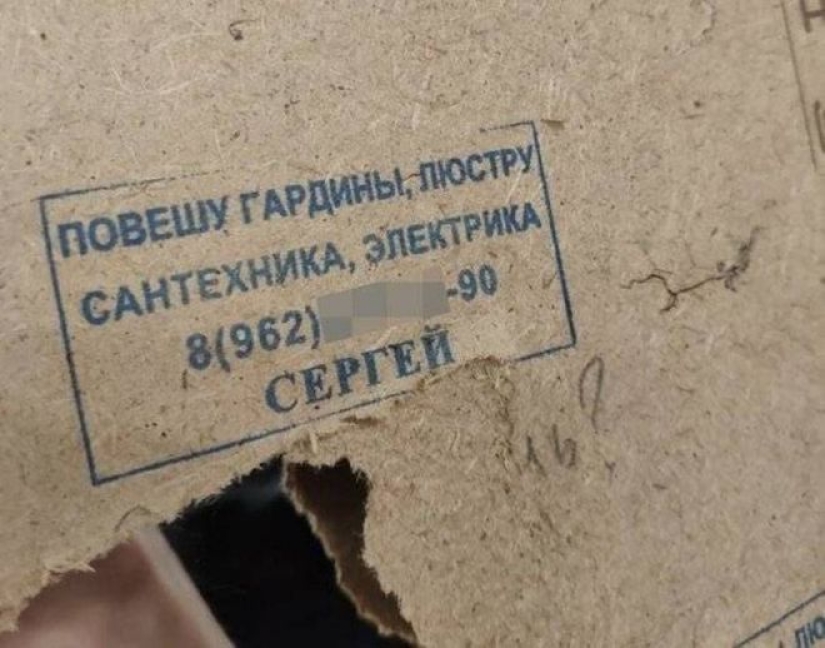 Cuando la generación del EGO encontró un trabajo: 22 ashipki que solo enfurecen