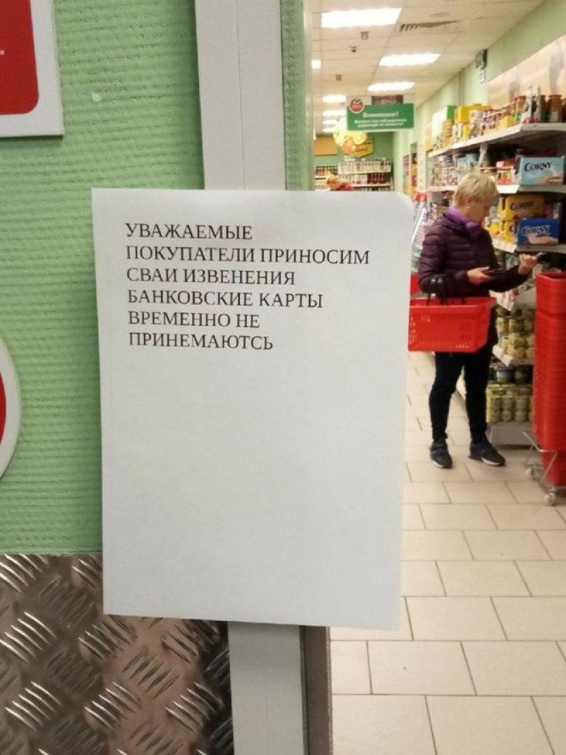 Cuando la generación del EGO encontró un trabajo: 22 ashipki que solo enfurecen