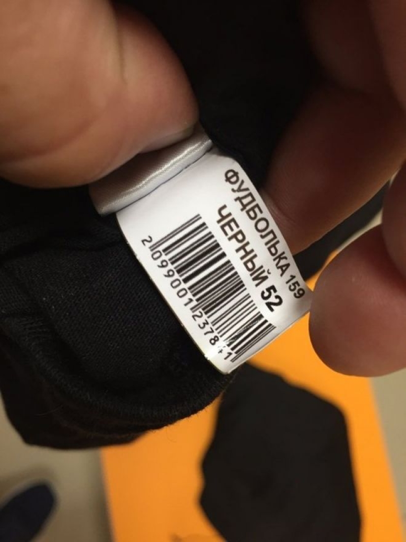 Cuando la generación del EGO encontró un trabajo: 22 ashipki que solo enfurecen