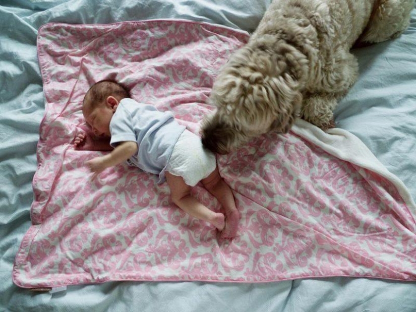 "Cuando nació Lulú, mi esposa Carla desapareció": cómo se desarrollan los sentimientos paternales