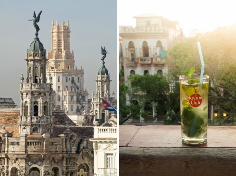 Cuando realmente quieres ir a Australia