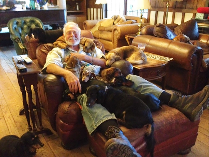 Cuatro patas de la felicidad: lo que la vida es como cuando en la casa más de dos perros Cuatro patas de la felicidad: lo que la vida es como cuando en la casa más de dos perros