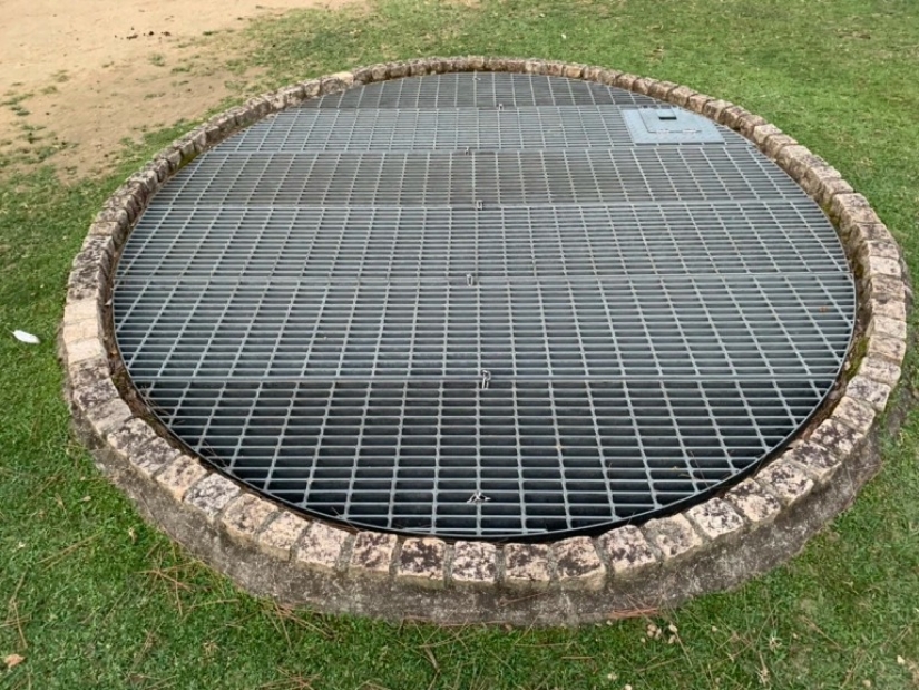 Cuernos fenómeno: cientos de ciervos en el Parque de Nara se reúnen cada día a la misma hora Cuernos fenómeno: cientos de ciervos en el Parque de Nara se reúnen cada día a la misma hora