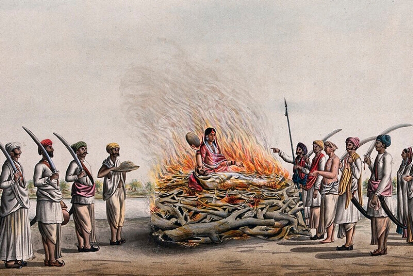 Culinismo: cómo funciona la tradición poligámica más repugnante del mundo Culinismo: cómo funciona la tradición poligámica más repugnante del mundo