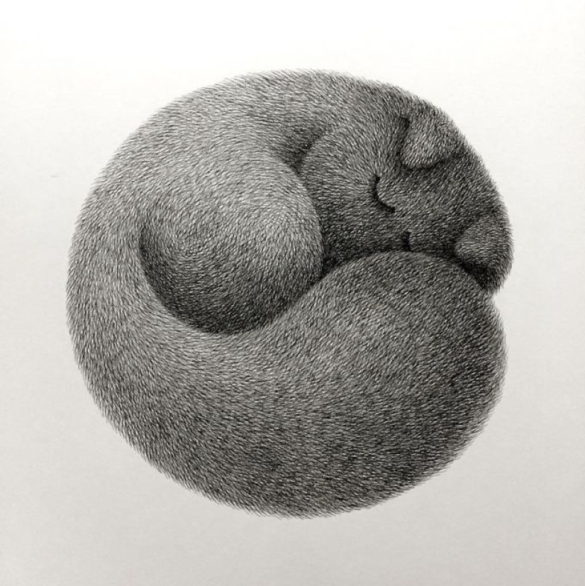 Cute fluffiness: charming cats drawn with a gel pen Cute fluffiness: charming cats drawn with a gel pen