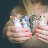 Cute kittens made of felt from the needlewoman Elizabeth Delektorskaya