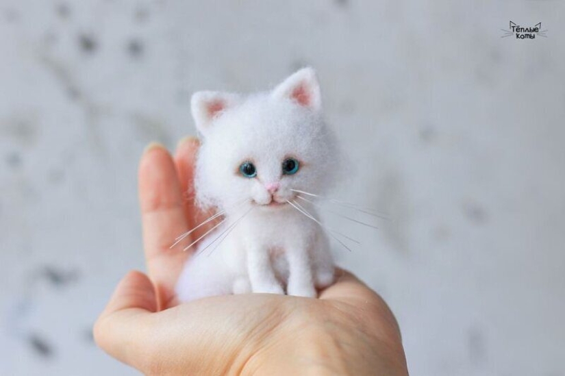 Cute kittens made of felt from the needlewoman Elizabeth Delektorskaya