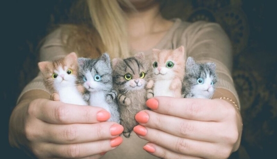 Cute kittens made of felt from the needlewoman Elizabeth Delektorskaya