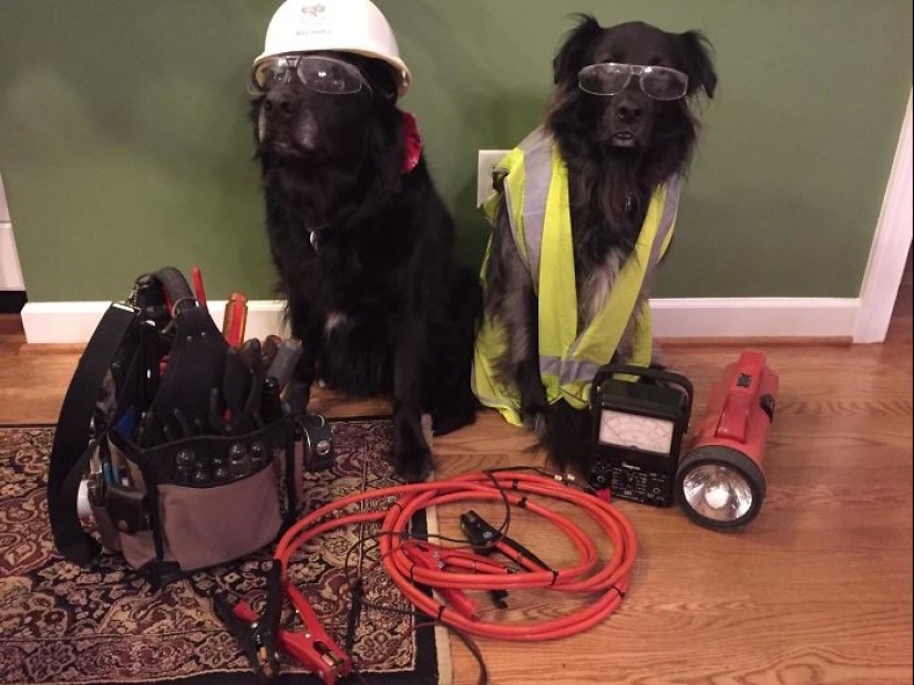 Dad jokes: the best examples of paternal trolling Dad jokes: the best examples of paternal trolling