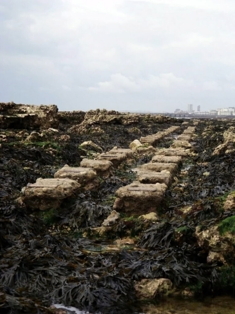 "Daddy Long Legs" - the strangest transport of the Victorian era "Daddy Long Legs" - the strangest transport of the Victorian era