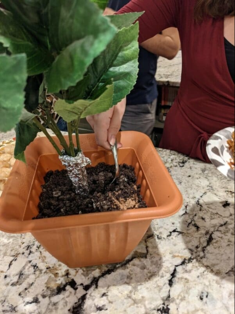 "¡Dame un plato!": 22 de los ejemplos más locos de servir platos