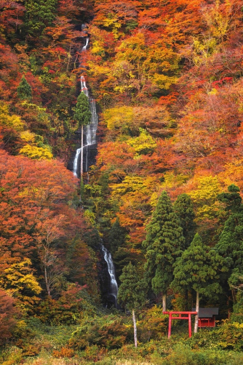 Datos fotográficos inusuales e interesantes sobre Japón Datos fotográficos inusuales e interesantes sobre Japón