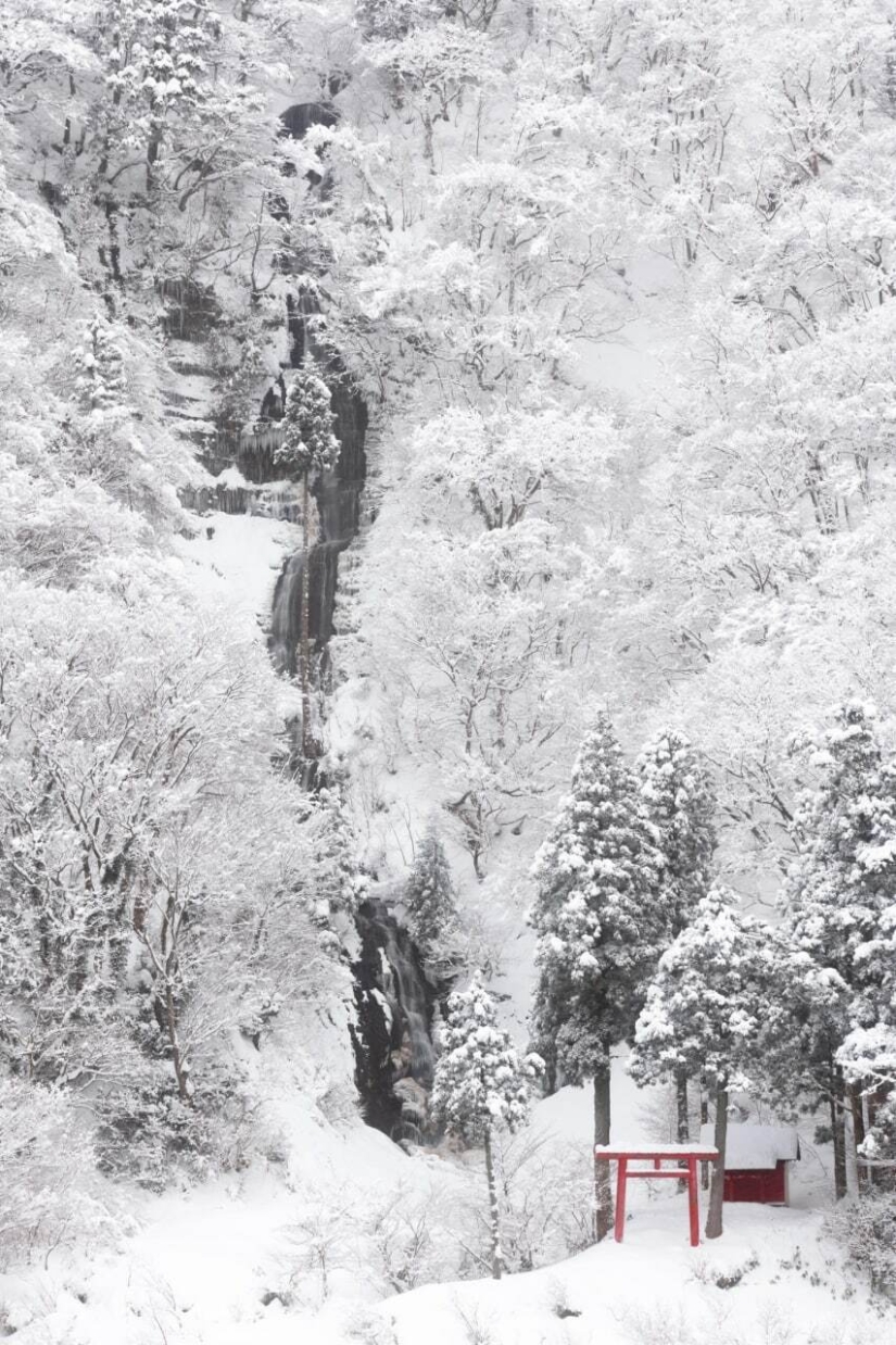 Datos fotográficos inusuales e interesantes sobre Japón Datos fotográficos inusuales e interesantes sobre Japón