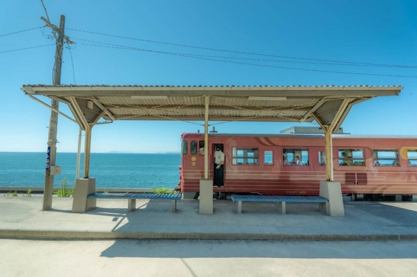Datos fotográficos inusuales e interesantes sobre Japón Datos fotográficos inusuales e interesantes sobre Japón