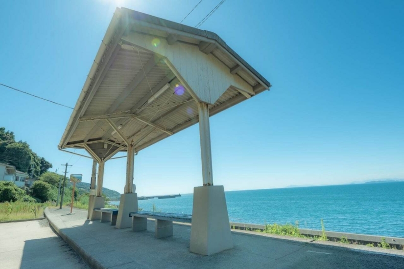 Datos fotográficos inusuales e interesantes sobre Japón Datos fotográficos inusuales e interesantes sobre Japón