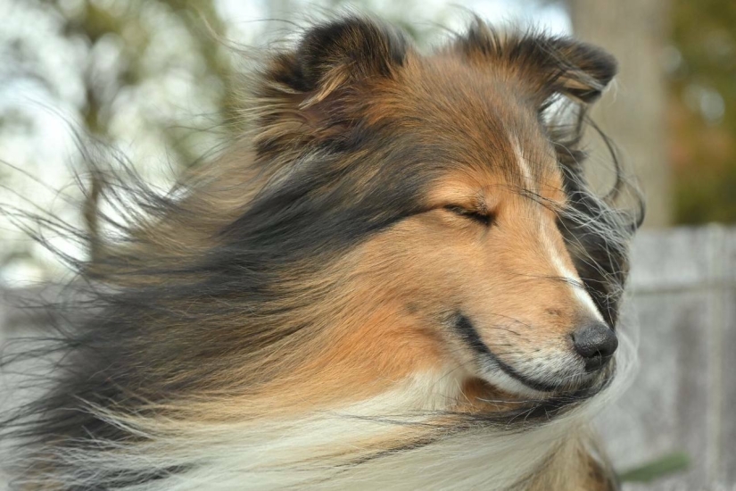 Datos fotográficos inusuales e interesantes sobre Japón Datos fotográficos inusuales e interesantes sobre Japón