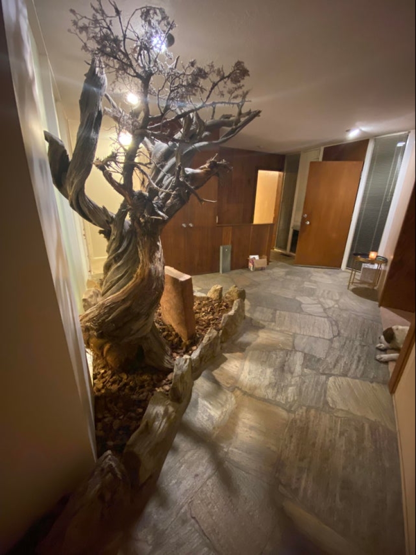 De la malaquita al billón de Zimbabue: 22 fotos asombrosas que no ves todos los días De la malaquita al billón de Zimbabue: 22 fotos asombrosas que no ves todos los días