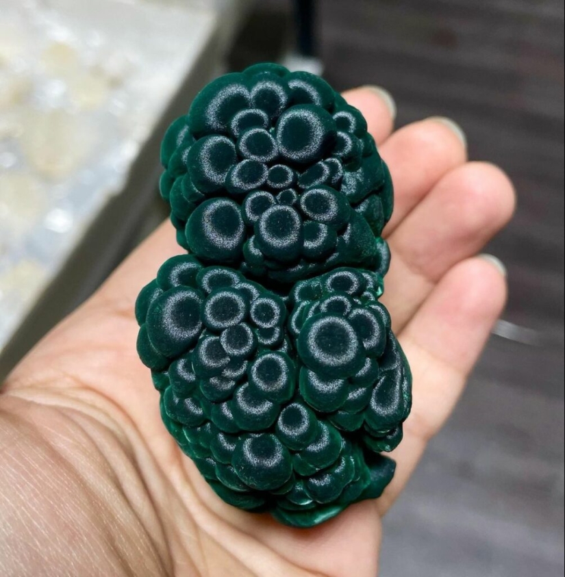 De la malaquita al billón de Zimbabue: 22 fotos asombrosas que no ves todos los días De la malaquita al billón de Zimbabue: 22 fotos asombrosas que no ves todos los días