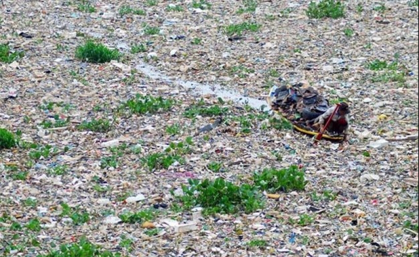 Dead water: what does Chitarum look like - the dirtiest river on the planet Dead water: what does Chitarum look like - the dirtiest river on the planet