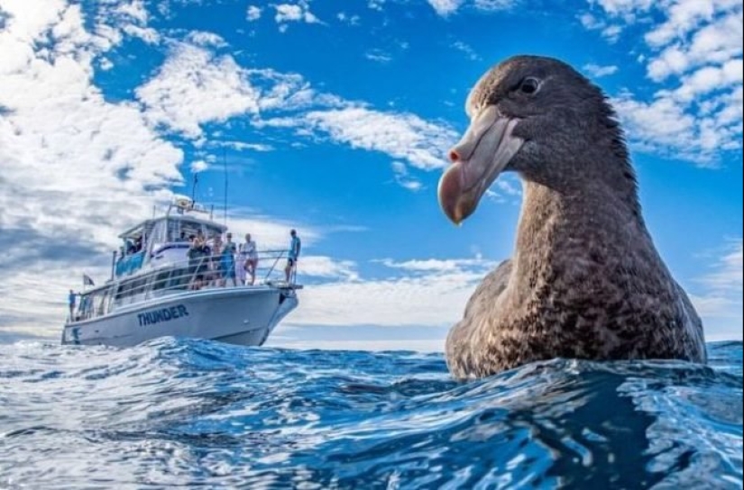 Deceptive perspective: 22 example optical illusions