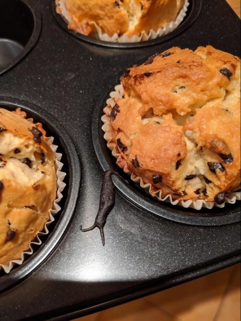 Deceptive perspective: 22 example optical illusions