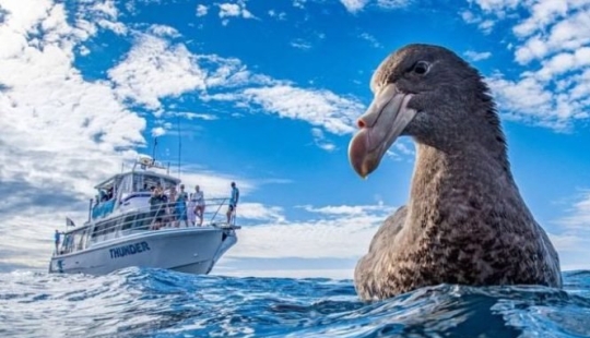 Deceptive perspective: 22 example optical illusions