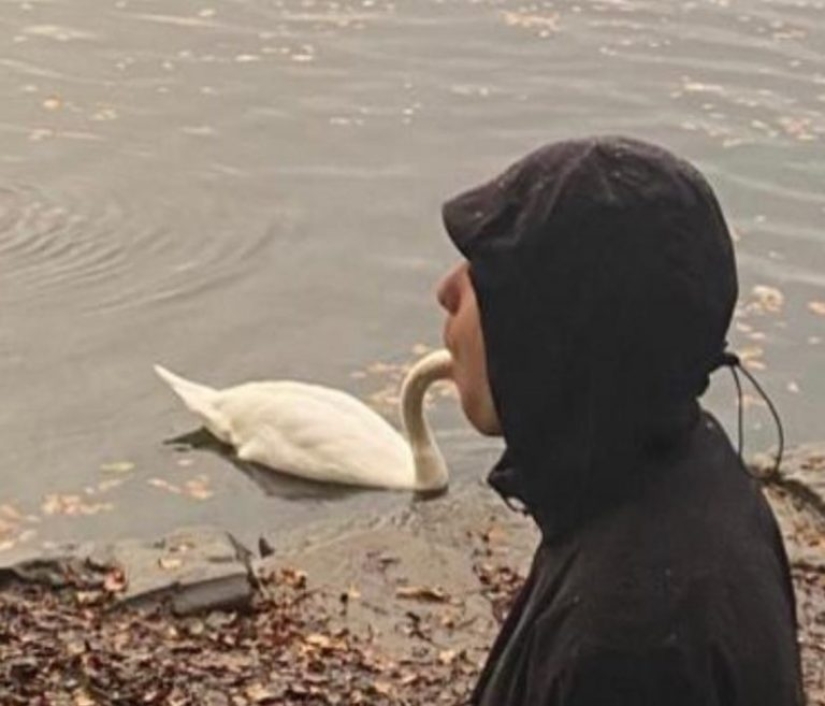 Deceptive perspective: 22 example optical illusions