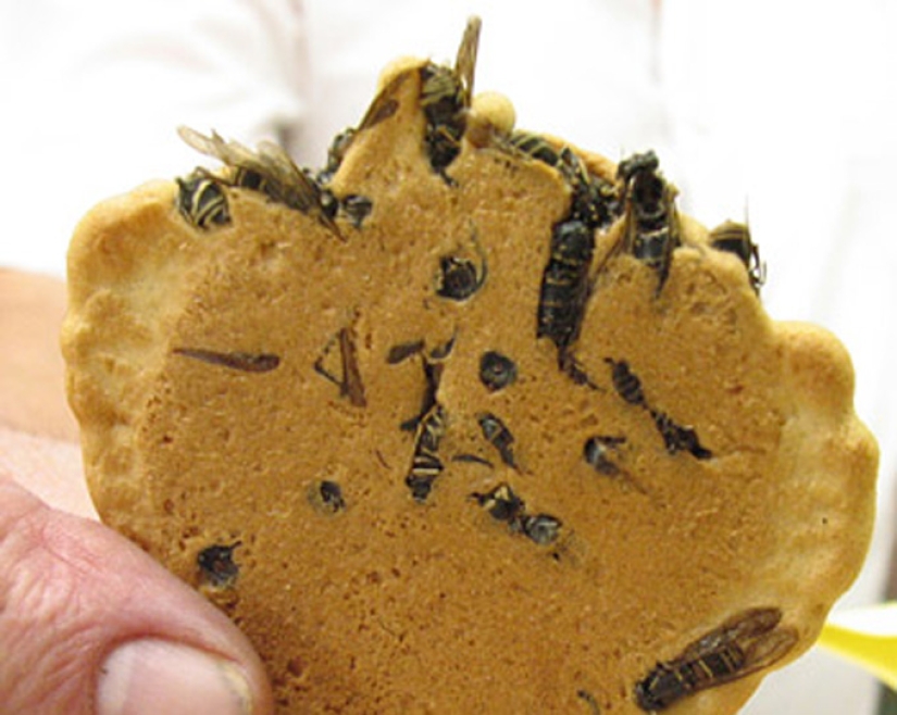 Delicias exóticas que son difíciles de comer sin cerrar los ojos Delicias exóticas que son difíciles de comer sin cerrar los ojos