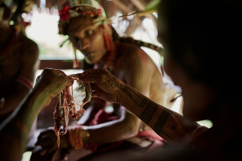 Desaparecerán en los próximos 100 años: un fotógrafo mostró las tribus en peligro de extinción Desaparecerán en los próximos 100 años: un fotógrafo mostró las tribus en peligro de extinción