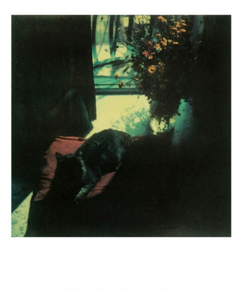 Desconocido Polaroids de Andrei Tarkovsky desde el archivo personal