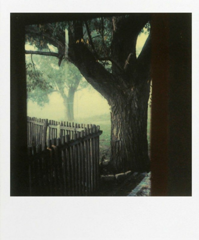 Desconocido Polaroids de Andrei Tarkovsky desde el archivo personal
