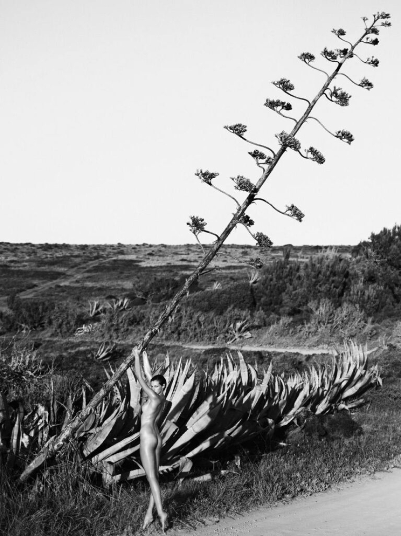 Desnudo en blanco y negro de Lukas Dvorak Desnudo en blanco y negro de Lukas Dvorak