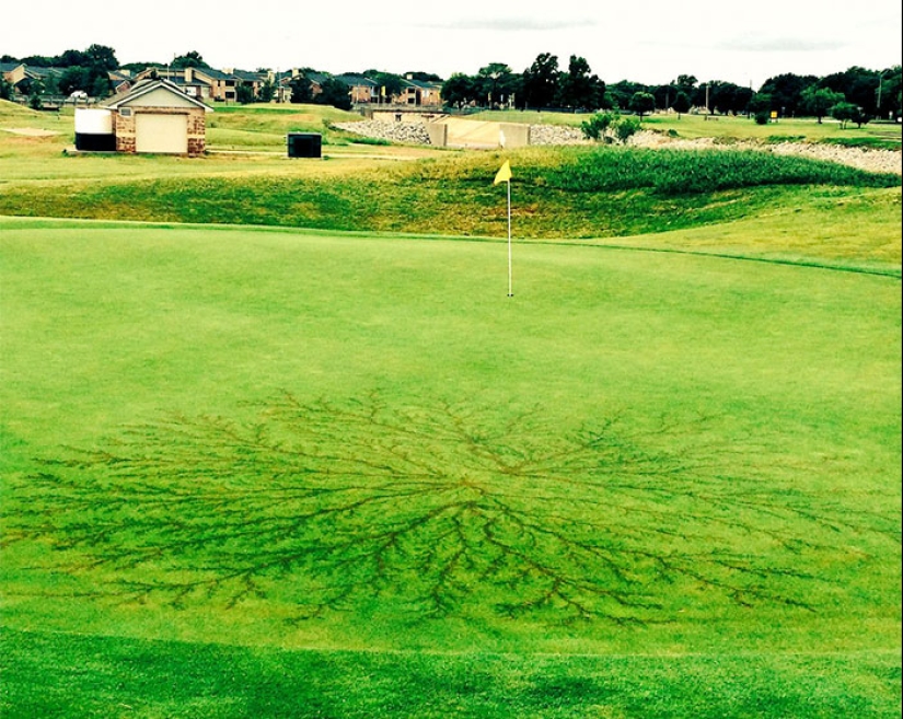 Después de la descarga: ¿qué le sucede a un hombre que fue alcanzado por un rayo Después de la descarga: ¿qué le sucede a un hombre que fue alcanzado por un rayo