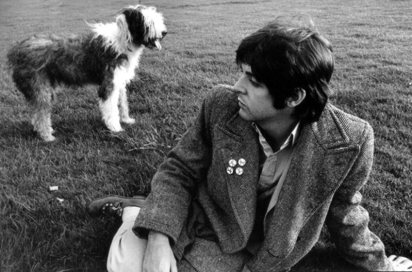 Detrás de cada gran hombre hay un gran perro