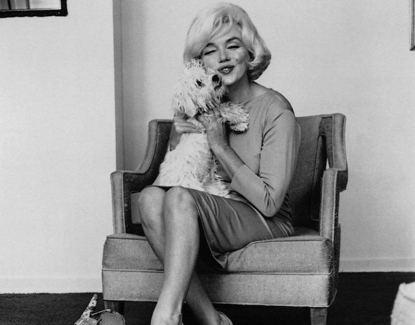 Detrás de cada gran hombre hay un gran perro