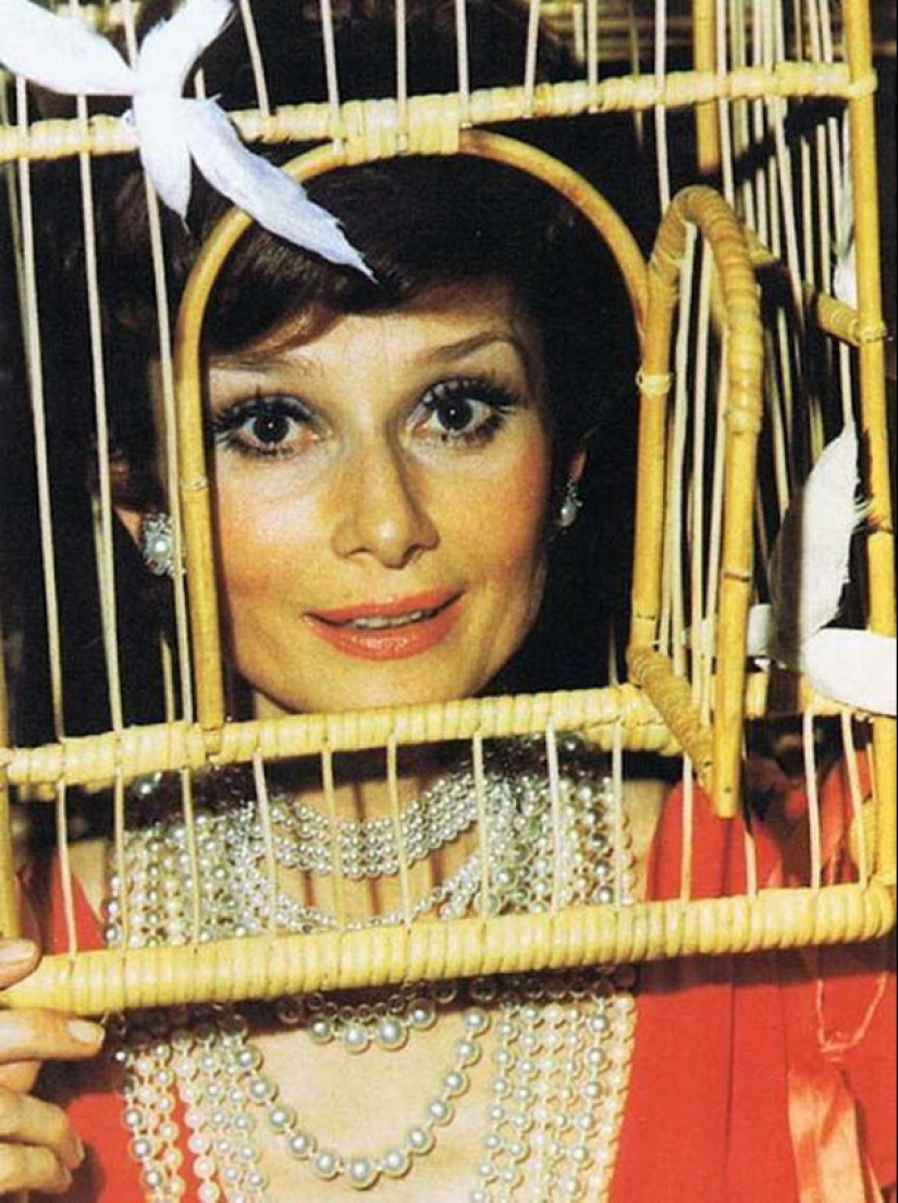 Diabolical Surrealism: Black Cats, Lucifer and Orgies Diabolical Surrealism: Black Cats, Lucifer and Orgies